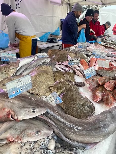 674350_285fd96fca7446fc91f335e1902ddef8-mv2 674350_285fd96fca7446fc91f335e1902ddef8-mv2