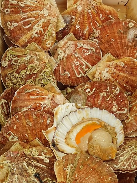 674350_85405f2aa2974c528da03665f08b4179-mv2 674350_85405f2aa2974c528da03665f08b4179-mv2