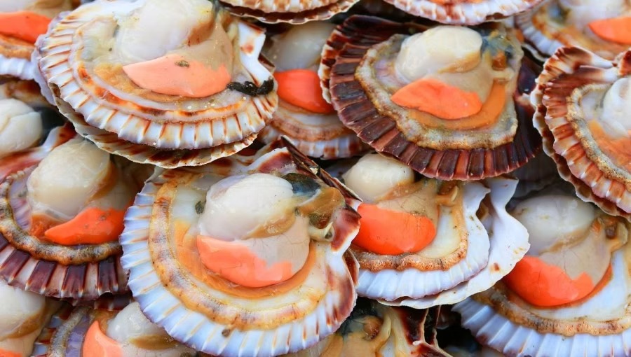 674350_2a4b8dc73cc9488eba51517f6e4ce7a3-mv2 674350_2a4b8dc73cc9488eba51517f6e4ce7a3-mv2