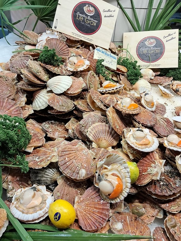 674350_a6bdfd69214547abb3b6627bae0c0831-mv2 674350_a6bdfd69214547abb3b6627bae0c0831-mv2