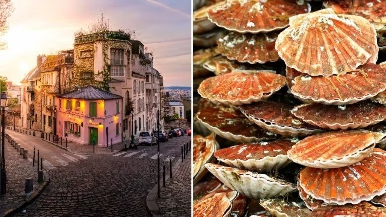 674350_f048440b020e463aacf1b931955bc9e6-mv2-1- 674350_f048440b020e463aacf1b931955bc9e6-mv2-1-